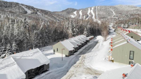 L'Adirondacks Stoneham